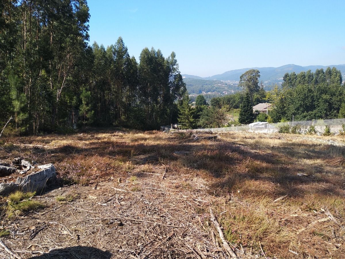 Finca en Pontevedra, Mourente
